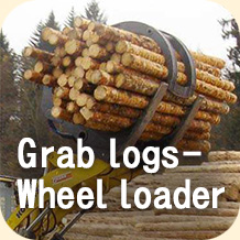 Grab logs - Wheel Loader