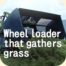 Wheel loader that gathers grass