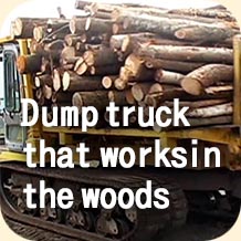 Dump truck that works in the woods
