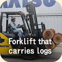 Forklift that carries logs