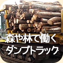 森や林で働くダンプトラック