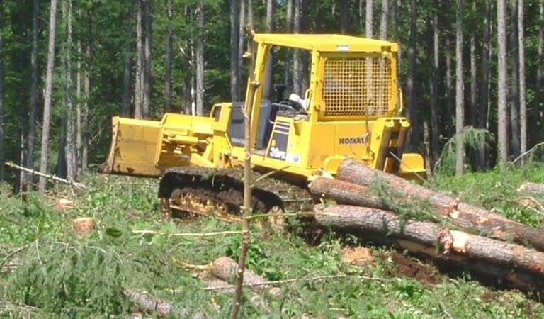 Bulldozer that works well in the woods
