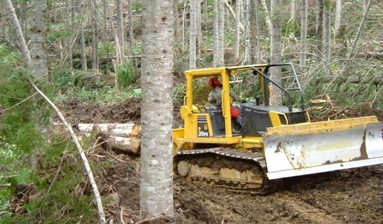 Bulldozer that works well in the woods