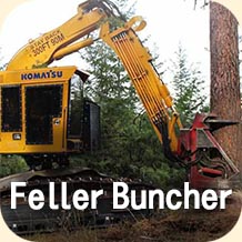 Cut down trees - Feller Buncher