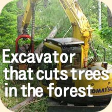 Excavator that cuts trees in the forest