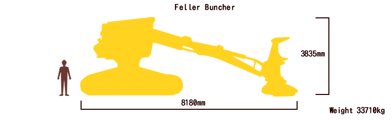Feller Buncher