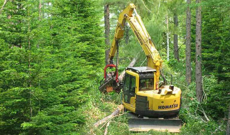 Excavator that cuts trees in the forest