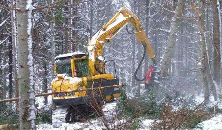 Excavator that cuts trees in the forest