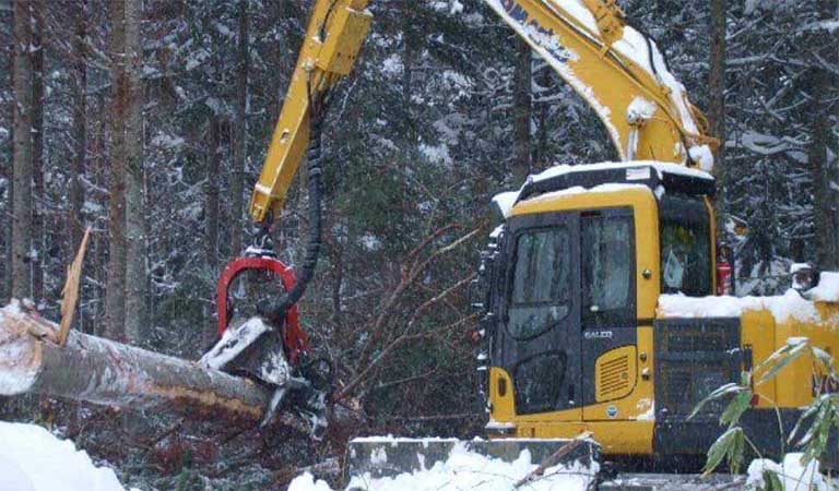 Excavator that cuts trees in the forest