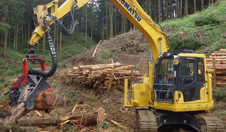 Excavator that cuts trees in the forest