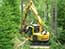 Excavator that cuts trees in the forest