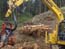 Excavator that cuts trees in the forest